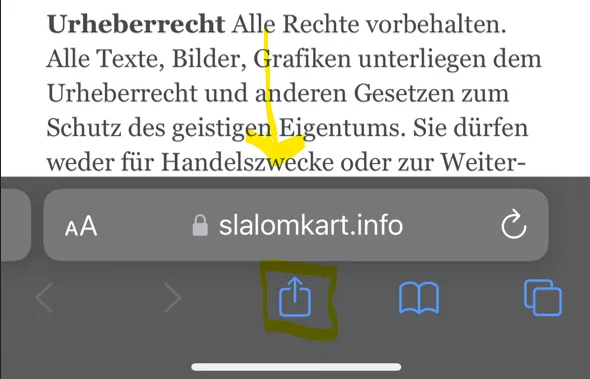 iPhone (Safari und Chrome Browser): Abbildung